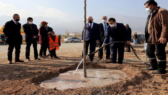 İnönü üniversitesinde yeni açılan bulvar ağaçlandırılıyor