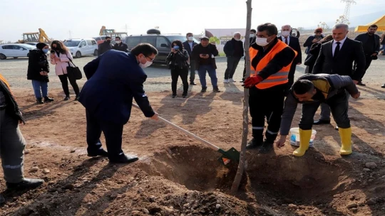 İnönü üniversitesinde yeni açılan bulvar ağaçlandırılıyor