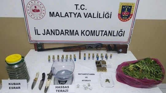 Jandarma'dan kenevir operasyonu