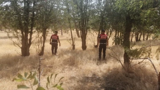 Jandarma'dan ormanlara drone ile kontrol