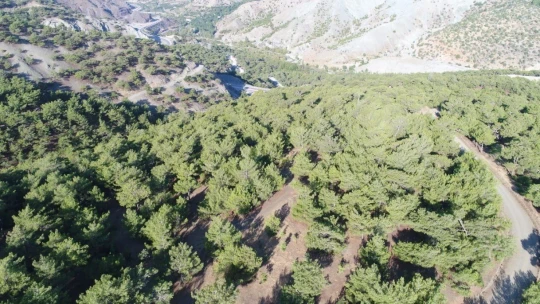 Jandarma'dan ormanlara drone ile kontrol