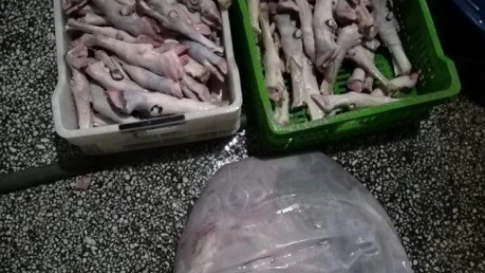 Jandarmadan yem fabrikasında ruhsatsız et üretimine baskın