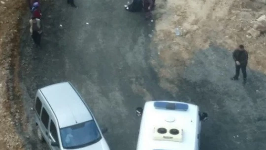 Kadın, köpeklerin saldırısında yaralandı