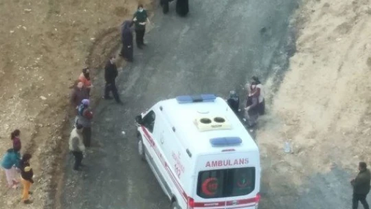 Kadın, köpeklerin saldırısında yaralandı