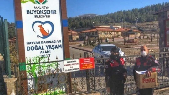Kanadı kırık Serçe'ye polis şefkati