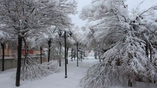 Kar kalınlığı 50 santimi geçti, ilçede hayat durdu
