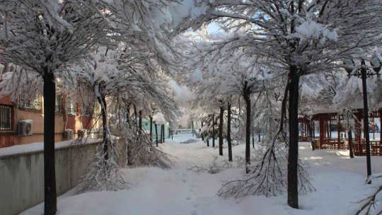 Kar kalınlığı 50 santimi geçti, ilçede hayat durdu