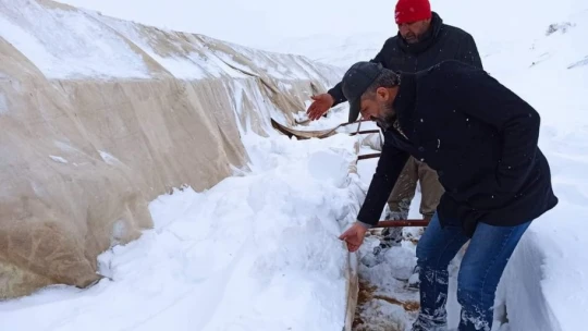 Kar nedeniyle çöken ahılda 20 küçükbaş hayvan telef oldu