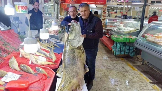 Karakaya Barajında 144 kiloluk balık yakalandı