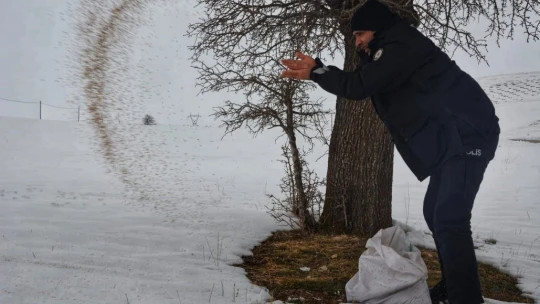 Karda yiyecek bulmakta zorlanan hayvanlara polis şefkati