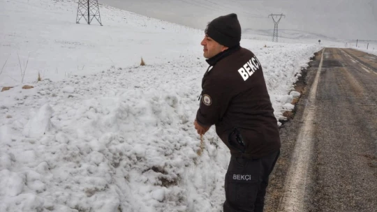 Karda yiyecek bulmakta zorlanan hayvanlara polis şefkati