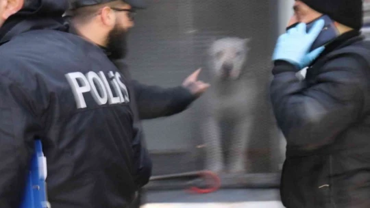 Kavga ettikleri şahsın üzerine pitbull saldılar: 3 yaralı