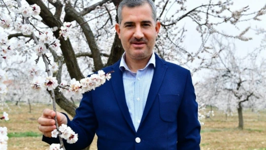 Kayısı bahçelerinde kartpostallık görüntüler