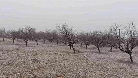 Kayısı bahçesinde çalışırken kara yakalandılar