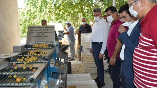 Kayısı Boylama Makinesi'nin tanıtımı yapıldı
