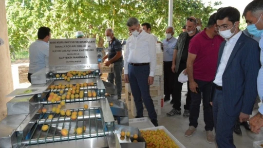 Kayısı Boylama Makinesi'nin tanıtımı yapıldı