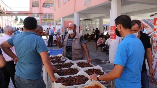 Kayısı, bu sezon üreticisinin yüzünü güldürecek