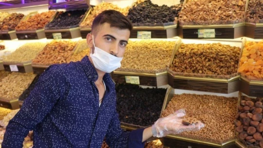 Kayısı Çekirdeği 'Güvenli Bitkiler' listesinde