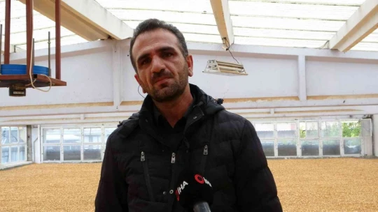 Kayısı çekirdeği ihracatı yüz güldürüyor