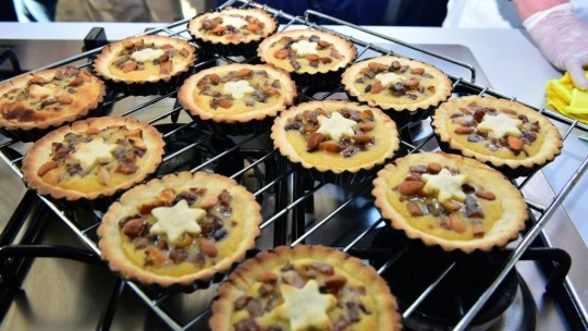 Kayısı Çiçeği Şenlikleri work show ile sona erdi