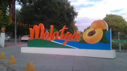 Kayısı'dan yüzde 55 daha fazla döviz