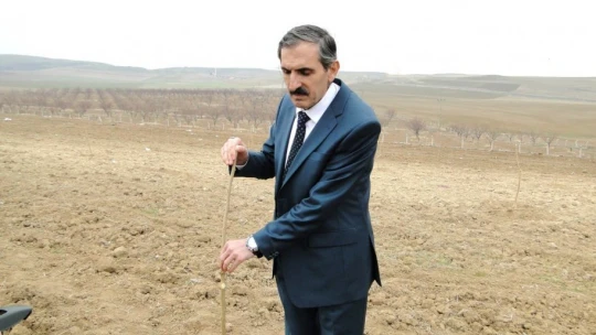 Kayısı fidanı üretimi 3 kat arttı