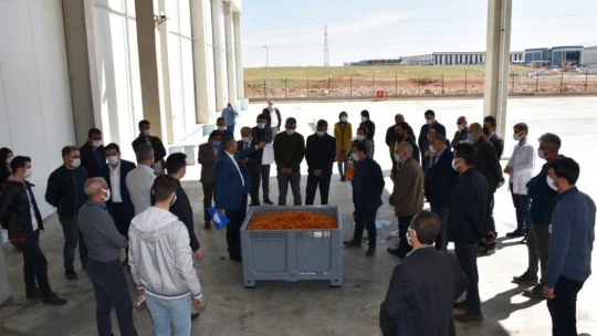 Kayısı lisanslı depo ile daha da değerlenecek