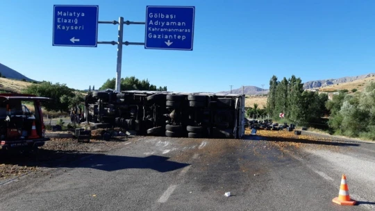 Kayısı yüklü kamyon devrildi: 1 ölü