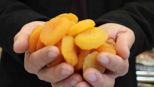 Kayısıda 11 ayda 305 milyon dolarlık ihracat geliri