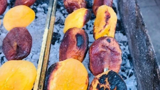 Kayısının kebabını da yaptılar