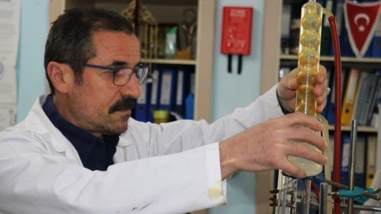 Kayısının çekirdeği da şifa deposu