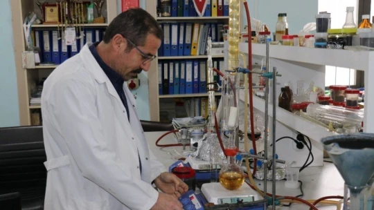 Kayısının çekirdeği da şifa deposu