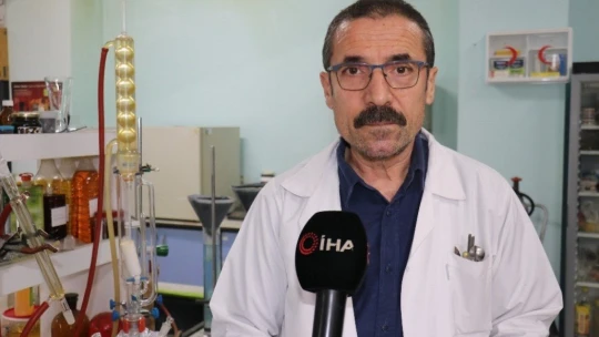 Kayısının çekirdeği da şifa deposu