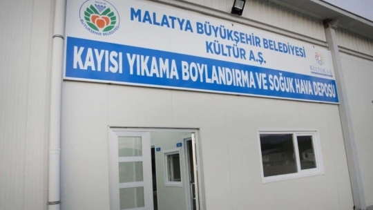 Kayısının katma değeri artacak