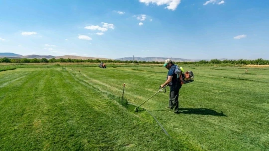 Kendi çimini üretiyorlar