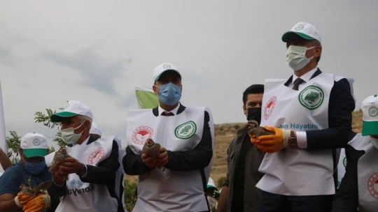 Keneyle mücadelede etkin rol oynayan keklikler, doğaya salındı