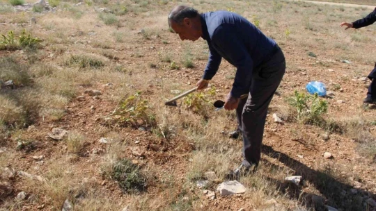 Kenger Sakızı'nda Coğrafi İşaret Belgesi için başvuru yapıldı