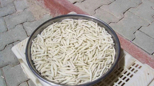 Kenger Sakızı'nda Coğrafi İşaret Belgesi için başvuru yapıldı