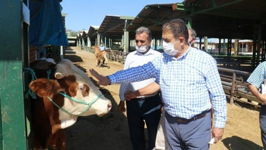 Keskin, hayvan pazarını ziyaret etti