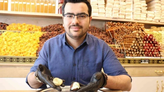 Kilosu 10 bin TL olan altın kaplamalı kayısı üretti