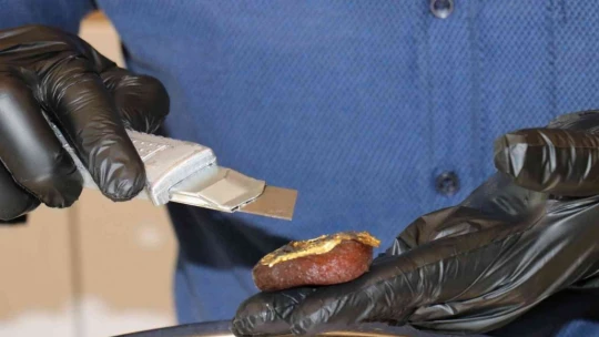 Kilosu 10 bin TL olan altın kaplamalı kayısı üretti