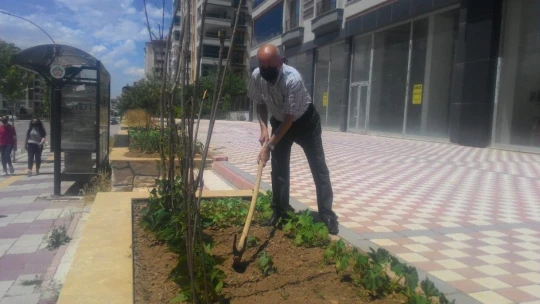 Kısıtlamayı fırsat bildi...
