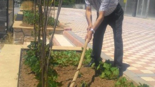 Kısıtlamayı fırsat bildi...