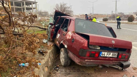 Kontrolden çıkan araç kaldırıma çıkıp ağacı yerinden söktü