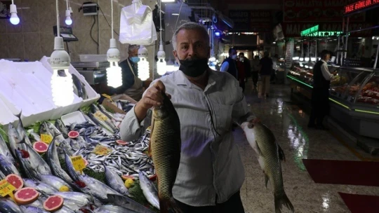 Korona virüs balık satışlarını da vurdu