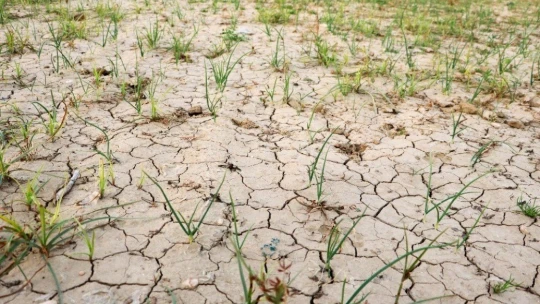 Kuraklık alarmı Malatya için de çalıyor