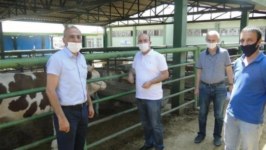 Kurban Bayramı öncesinde hayvan pazarı denetlendi