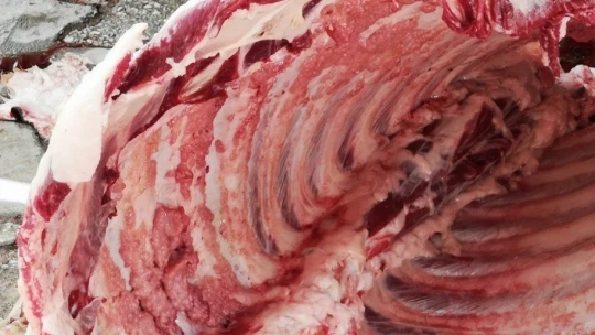 Kurbanlık aldığı hayvan 'tüberkülozlu' çıktı