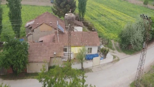 Leylek ailesi, Zeliha teyzeye 15 yıldır komşuluk yapıyor