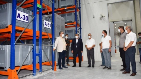 Lisanslı Kuru Kayısı Deposu, kuru kayısı alımını bekliyor